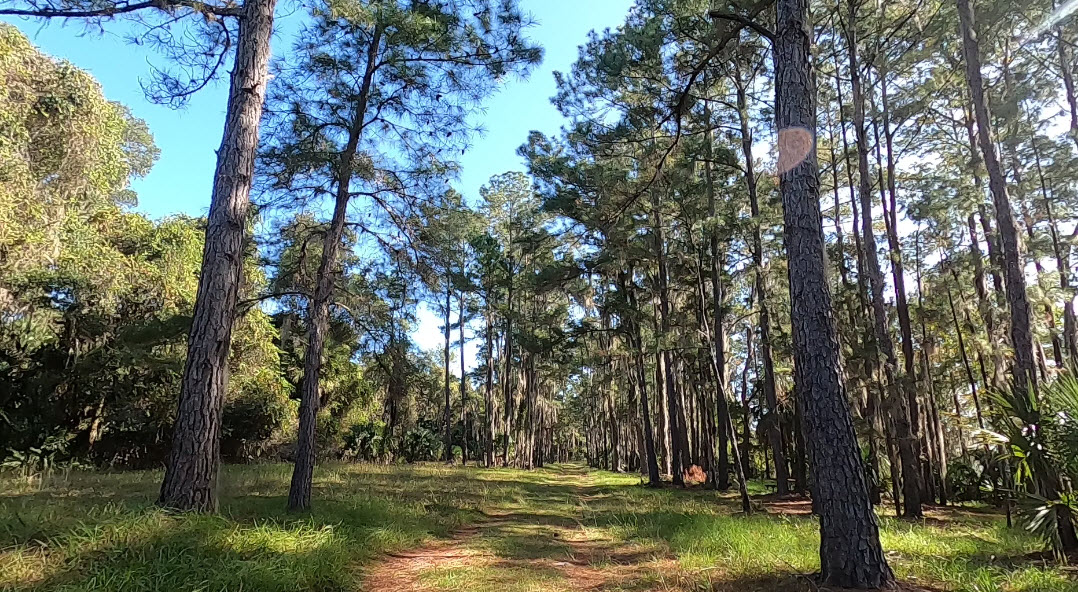 StartTrail