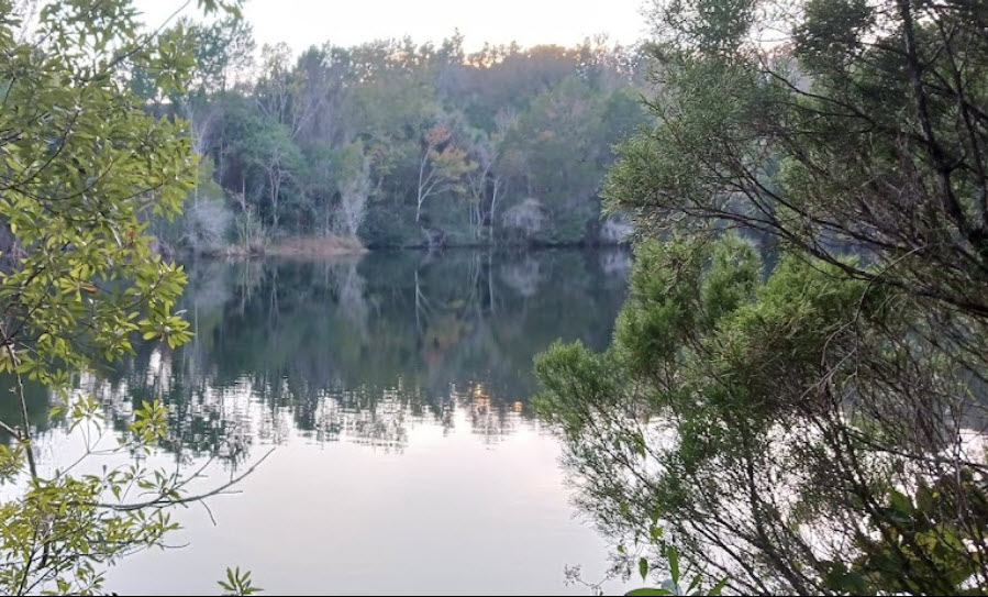 pond